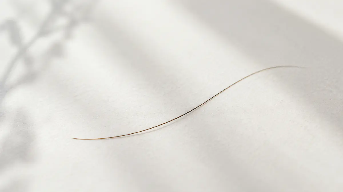 The four phases of the hair growth cycle