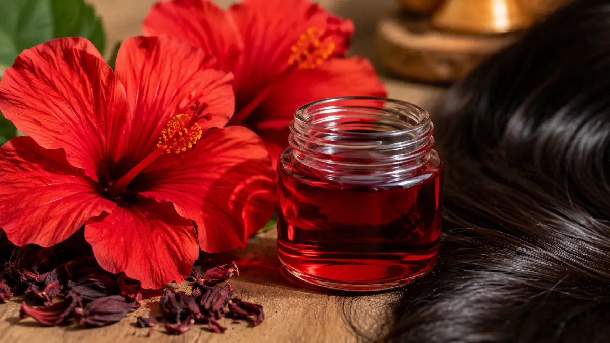 Hibiscus flowers and hair growth research